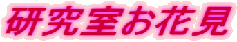 Ԍ 