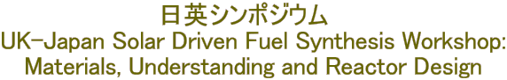pV|WE@ UK-Japan Solar Driven Fuel Synthesis Workshop: Materials, Understanding and Reactor Design