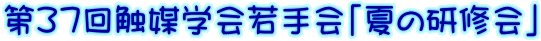 RVG}wuĂ̌Cv